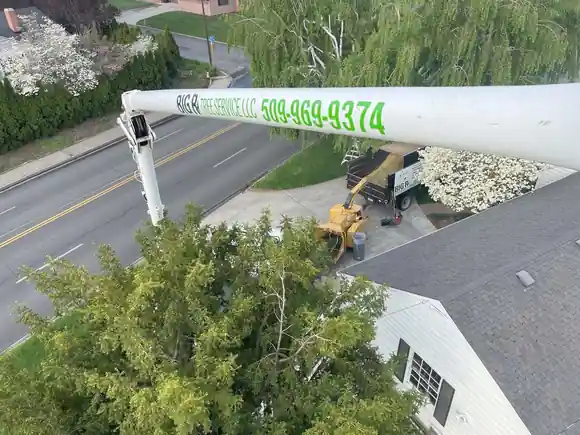 The view from Big R's bucket: the boom printed with 509-969-9374 over a juniper and the street