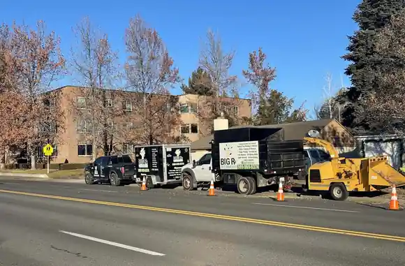 Big R pickup, trailer, chip truck and yellow chipper set up curbside with traffic cones beside autumn trees