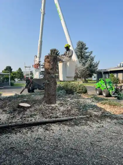 A climber in the bucket topping a spar, a green loader at the right