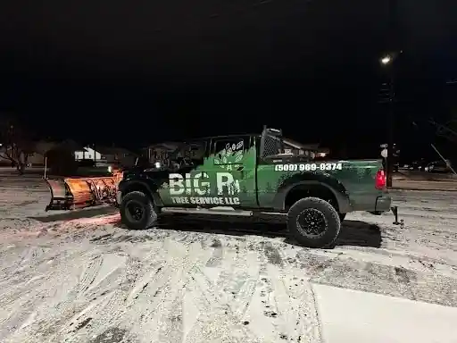 The BIG R plow pickup at night in the snow