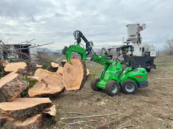 Big R's green grapple loader moving large cottonwood rounds, the bucket truck behind