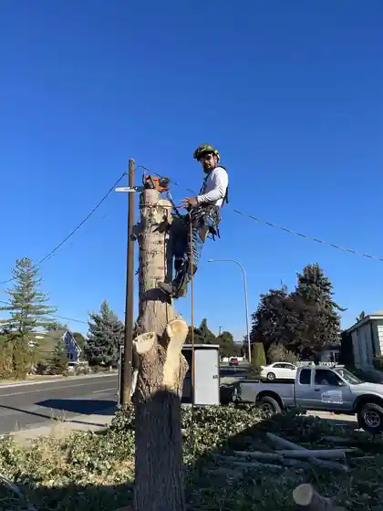 Two Big R climbers on a topped spar beside a utility pole on a Yakima street