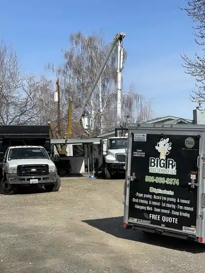 Black Big R trailer lettered with its service list and the words free quote