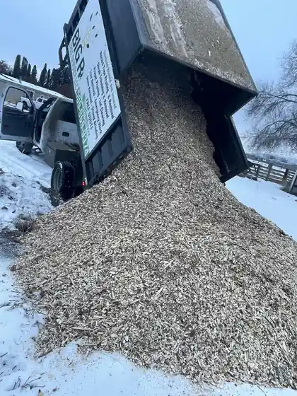 A load of fresh wood chips tipping out of Big R's chip truck onto the snow